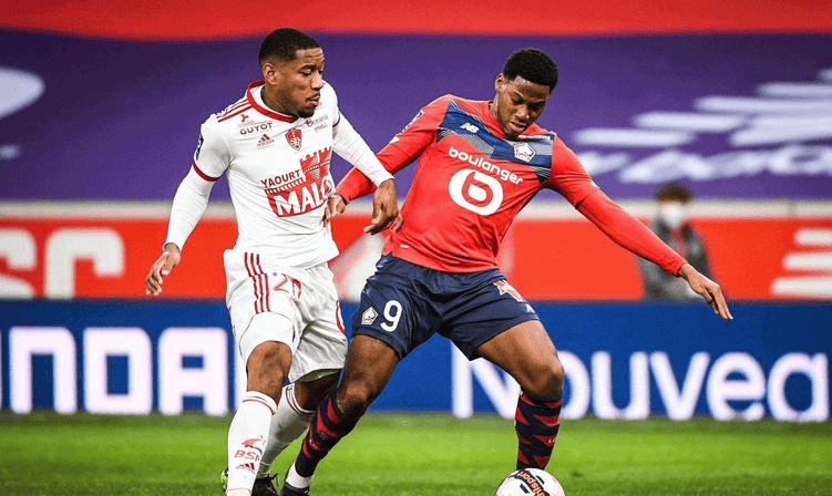 将为他的新 将为他的新