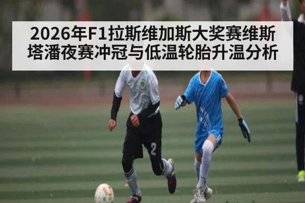 2026年F1拉斯维加斯大奖赛维斯塔潘夜赛冲冠与低温轮胎升温分析